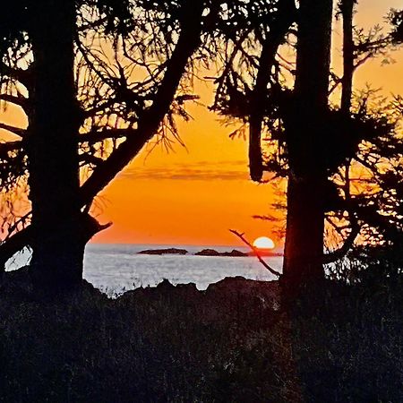 Black Rock Landing Ucluelet Eksteriør bilde